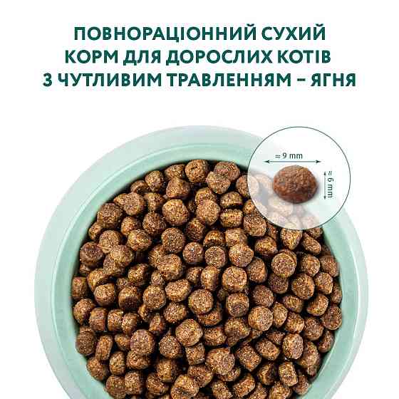 Сухий корм для дорослих кішок Оптиміл Optimeal з чутливим травленням зі смаком ягняти, 4 кг Вінниця