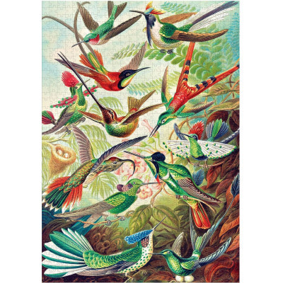 Пазл GoodLoot Imagination: Ernst Haeckel Hummingbirds/Kolibry 1000 елементів (5908305246794) Вінниця - фото 9