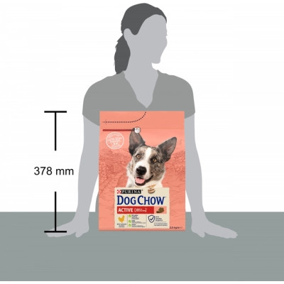 Сухий корм для собак Purina Dog Chow Active Adult зі смаком курки 2.5 кг (7613034487858) Вінниця - фото 11