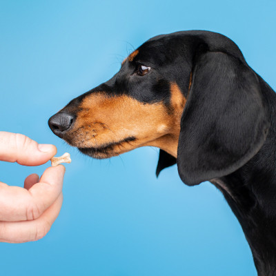 Вітаміни для собак ProVET Profiline Біотин комплекс для шерсті 100 табл (4823082431625) Вінниця - фото 3