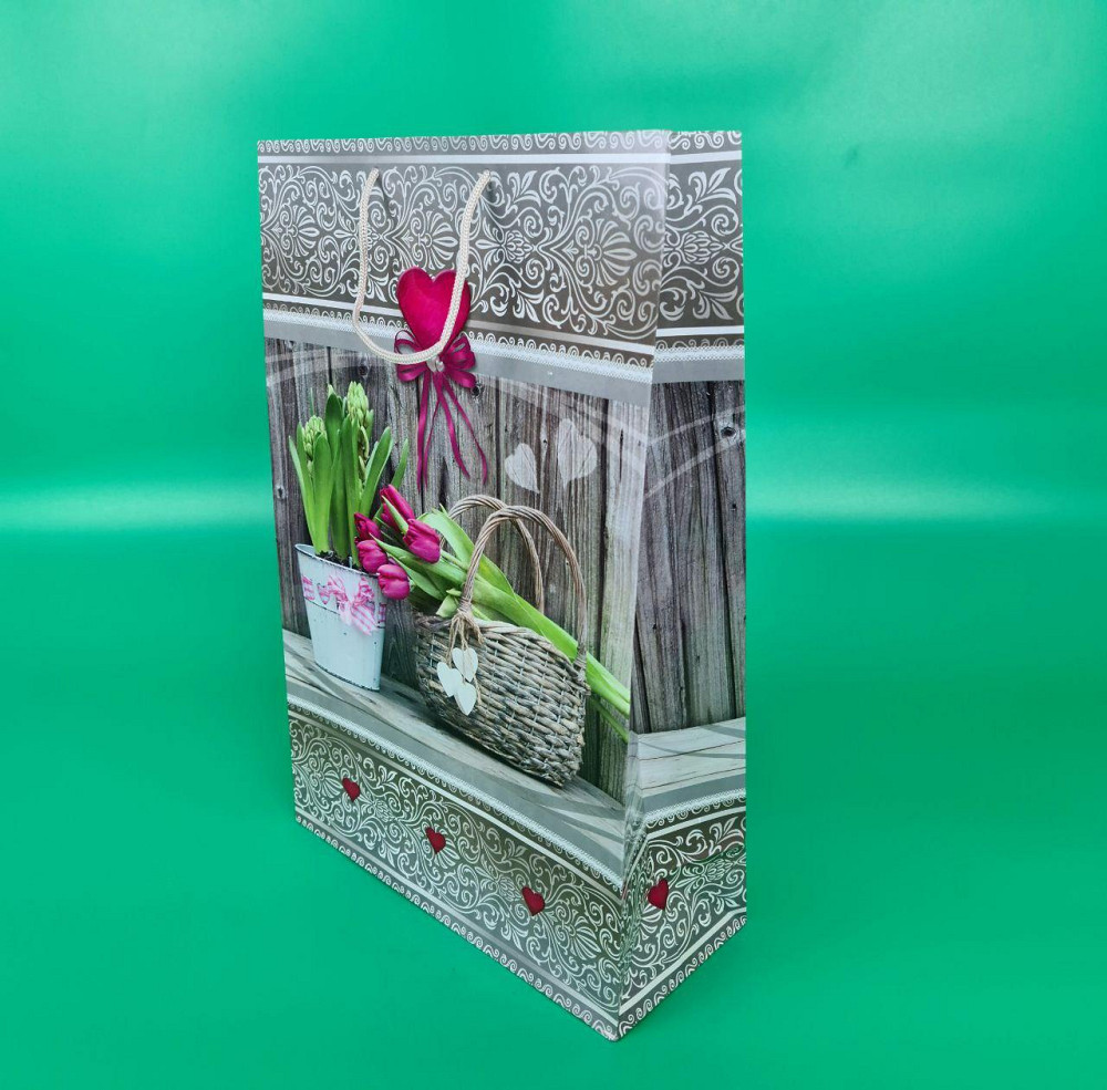 Пакет бумажный гигант вертиркальный (30х42х12)(артGV-088) (12 шт) Харьков - изображение 1