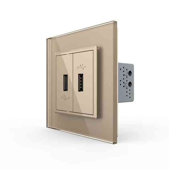 Розетка подвійна USB з блоком живлення Livolo золото скло (VL-C792U-13) Коломыя