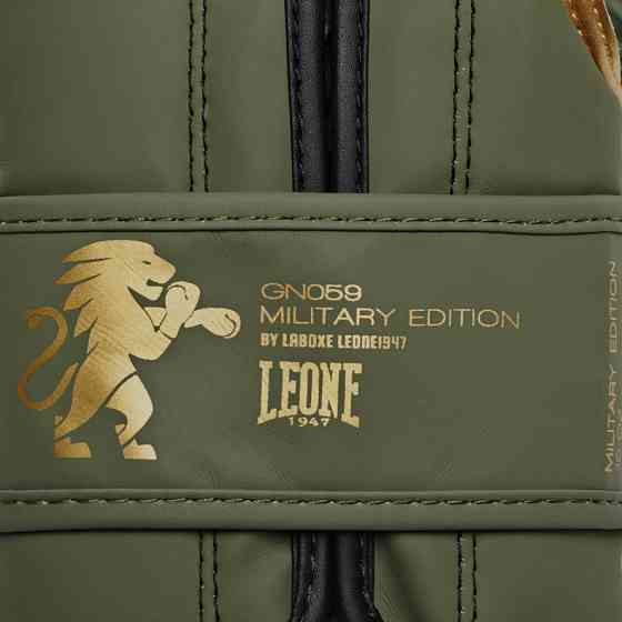 Боксерські рукавички Leone Mono Military 14 ун. Кам'янське