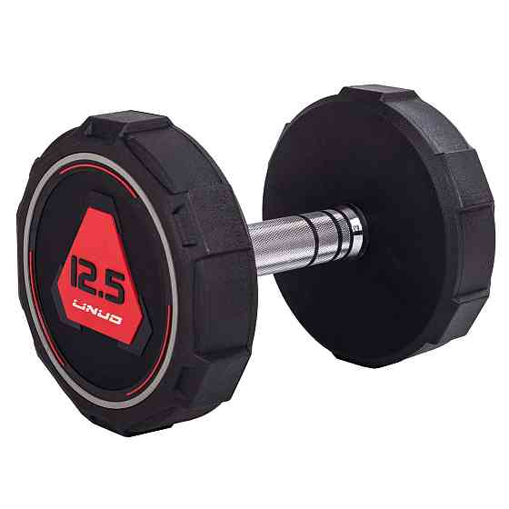 Гантель 12.5 кг цільна професійна LI NUO-3618-12_5 Київ