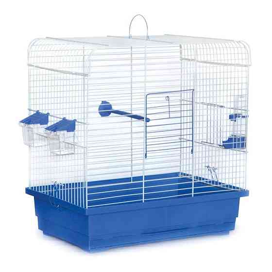 Просторная клетка Инесса для всех мелких птиц с цинковыми аксессуарами (48 х 31 х 51 см), Лори Киев