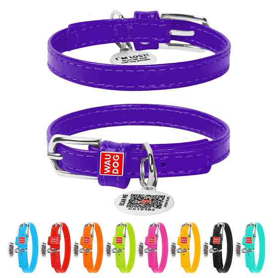 Нашийник для собак шкіряний WAUDOG Glamour з QR паспортом, без прикрас, XXS, Ш 9 мм, Дов 19-25 Коломыя