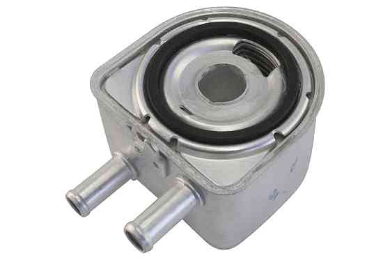 Теплообменник GP Peugeot 2,0HDi (DW10) 2,2HDi (DW12) (1103H4) Киев