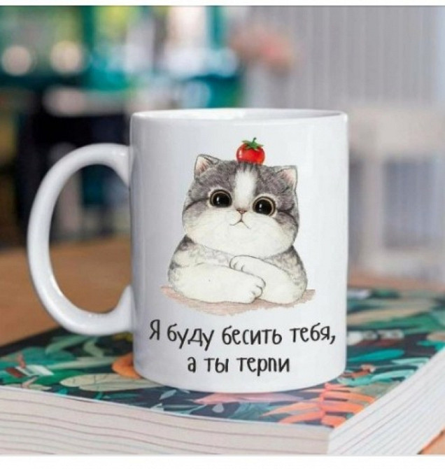 Кружка Я буду бесить тебя, а ты терпи Винница - изображение 1