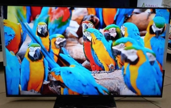 Телевизор Безрамный: 55