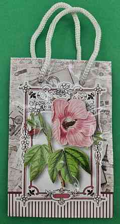 Пакет паперовий подарунковийМІНІ 8*12*3.5 арт17 (12 шт.) Харків