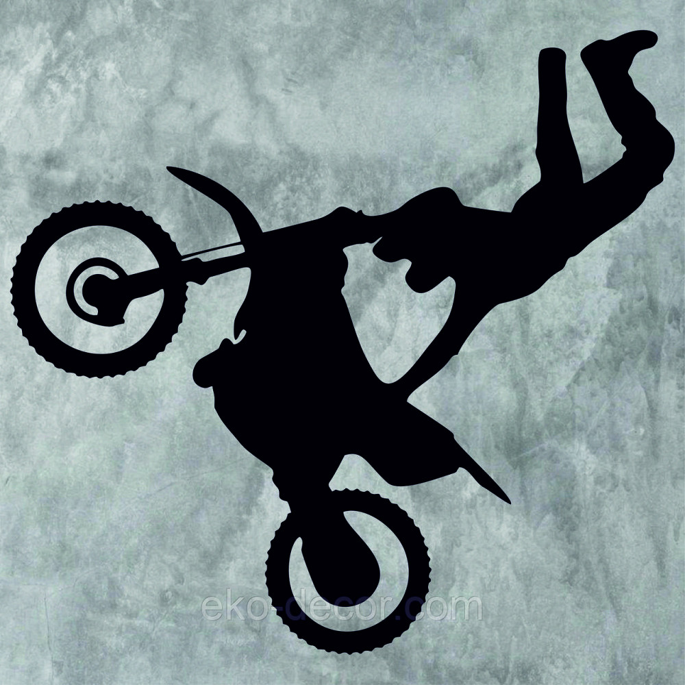 Декоративне настінне Панно «Мотофрістайл», Декор на стіну Київ - фото 7