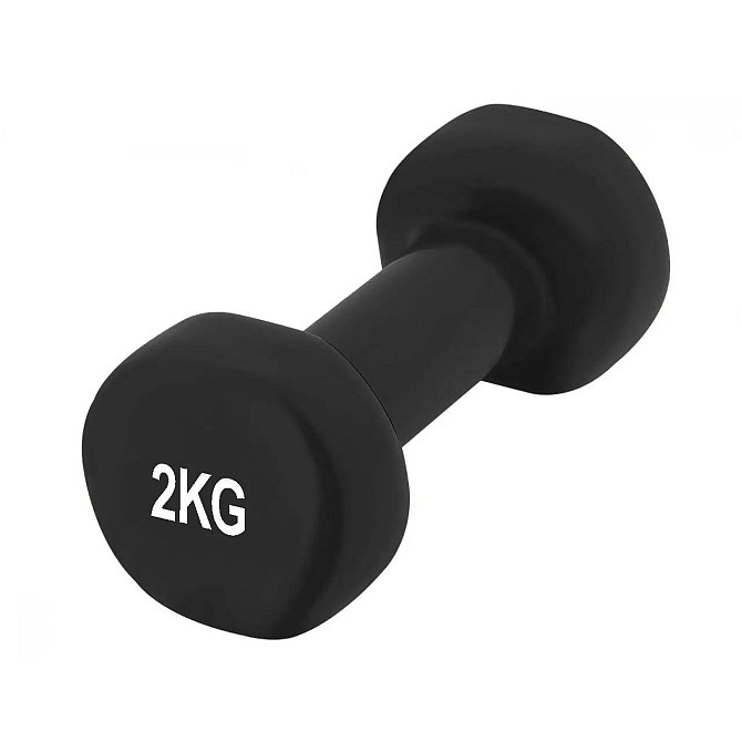 Набір гантелей в кейсі 9 кг. PowerPlay 4121 Fitness Dumbells (2шт.*1кг. 2шт.*1,5кг. 2шт.*2кг.) Кам'янське - фото 9