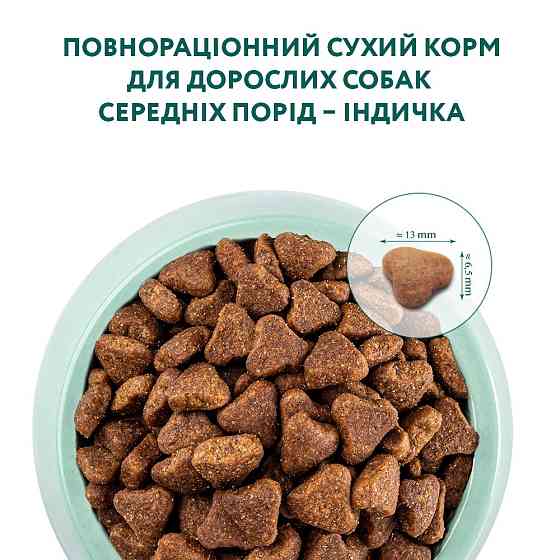 Сухий корм для дорослих собак середніх порід Оптиміл Optimeal з індичкою, 12 кг Вінниця