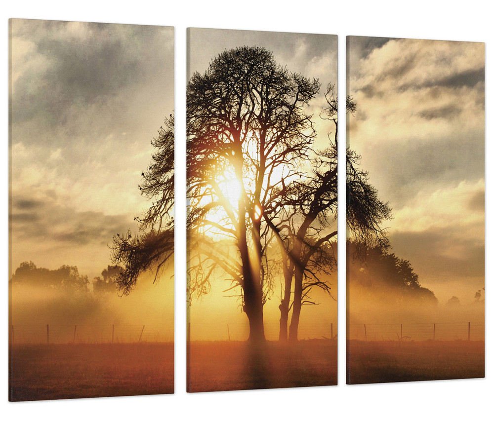 Модульна картина Природа Світанок Art-217_XXL Київ - фото 1
