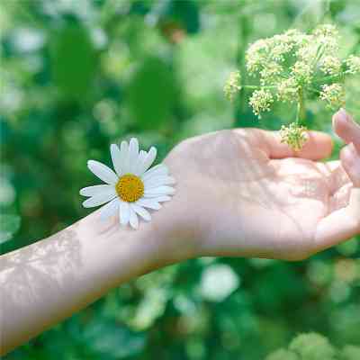 Гигиенические прокладки Naturella Ultra Normal 10 шт (4015400125037) Винница