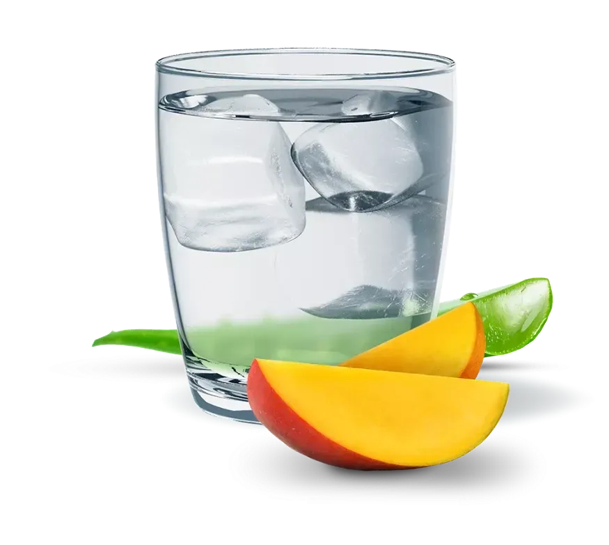 Алое манго Рослинний концентрат Гербалайф Напій для Травлення, 473 мл Напій на Основі Алое Дніпро - фото 3