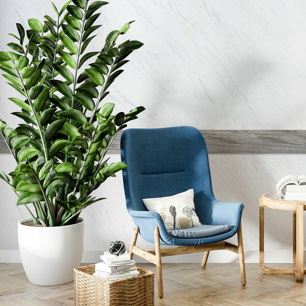 Молдинг виниловый самоклеющийся 5000х100х2мм Матовый (D) SW-00001797 Киев - изображение 6