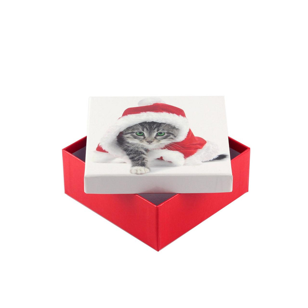 Коробка подарункова ООТВ Santa Cat 14 х 14 х 8 см Рівне - фото 1