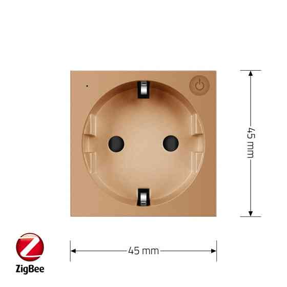 Розумна розетка LIVOLO ZigBee, з заземленням, золота, 16А 230В, керування через Alexa / Google Home / Home Assistant, модуль (VL-FCTC16AZ-2AP) Коломыя