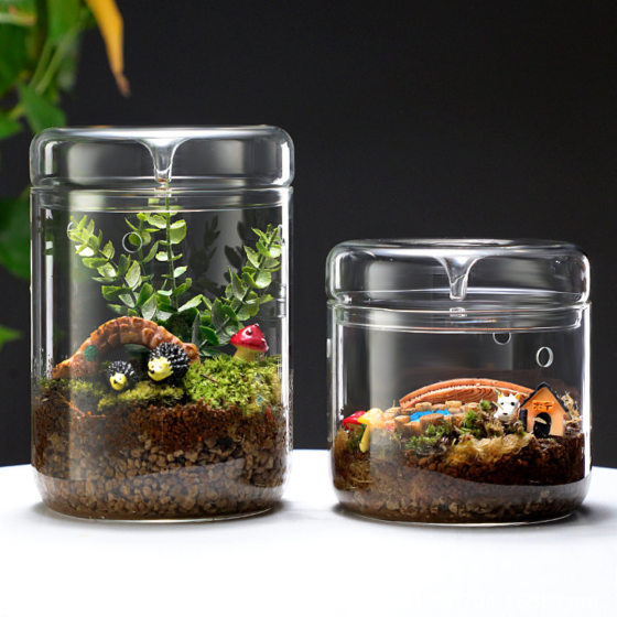 Емкость для флрариума, мосариума, бонсай 1.55 л 15 х 11 см Одесса