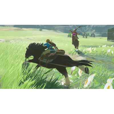 Игра Nintendo The Legend of Zelda: Breath of the Wild, картридж (045496420055) Винница
