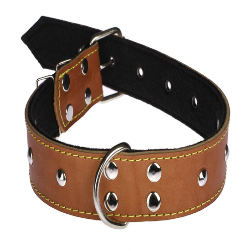 Нашийник 615 40 мм "Класик" шкіра+синтепон прикрашений Вінниця - фото 1