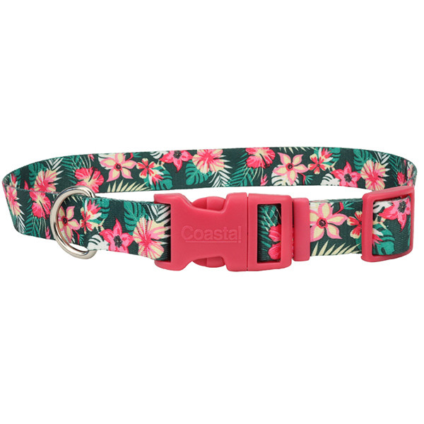 Coastal Pet Attire Styles КОСТАЛ СТАЙЛС ошейник для собак Киев - изображение 5