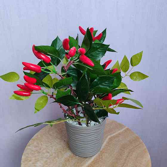 Композиція "Гострий перчик" Дніпро