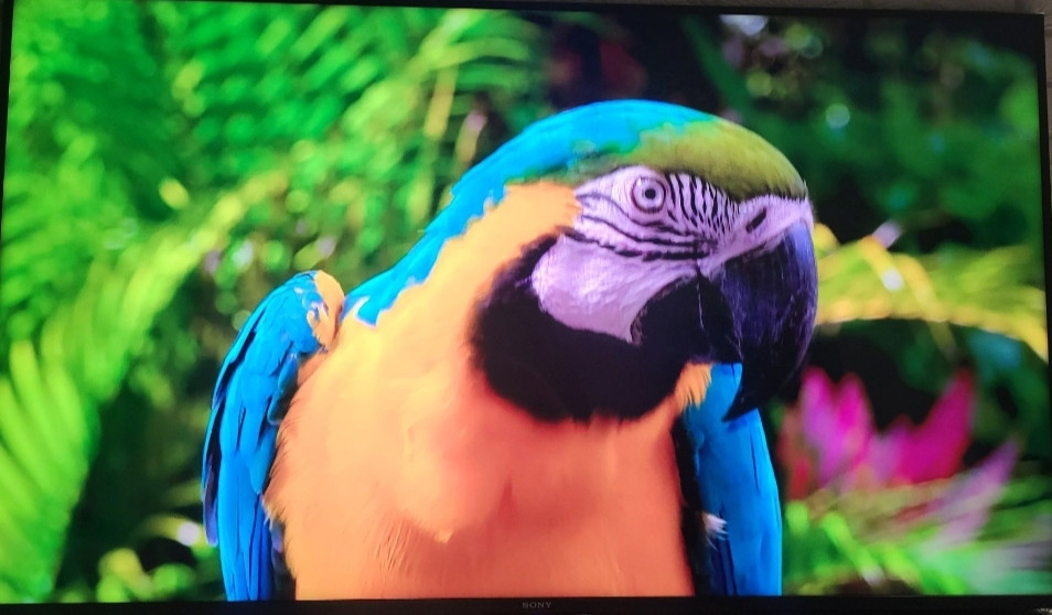 Телевізор Sony 65" Київ - фото 5