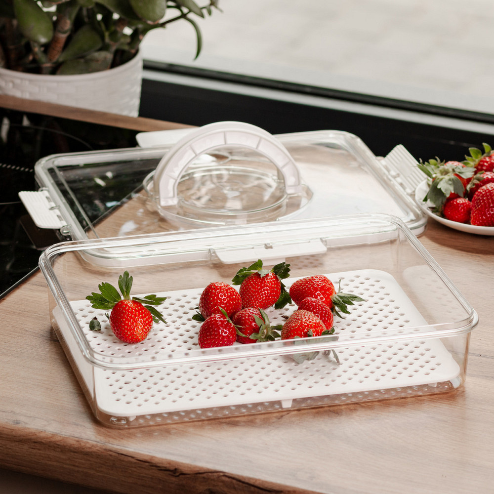 Контейнер для еды с ручкой 31х24х7 см пластиковый пищевой контейнер 2.5 л HP-27-10 Киев - изображение 3