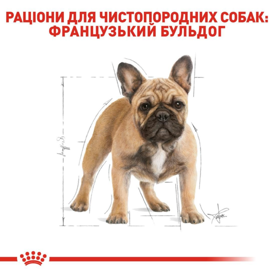Royal Canin French Bulldog Adult (Рояв Канін Френч Бульдог Едалт) корм для французьких бульдогов від 12 місяців 1,5 кг. Запоріжжя