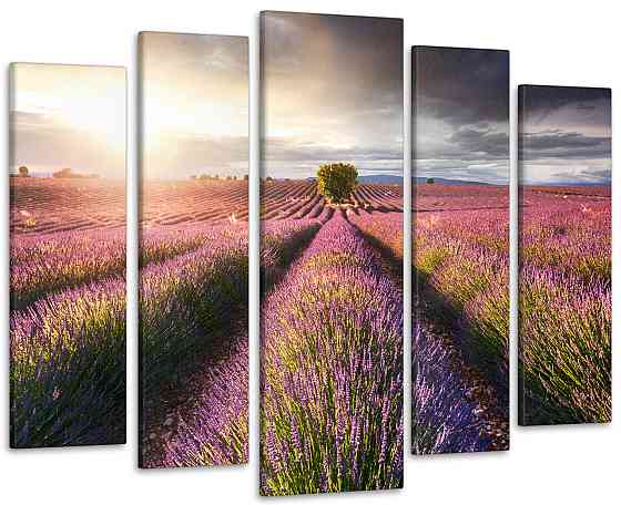Модульна картина Природа Лаванда Art-350_5 ( 80х118см ) Київ