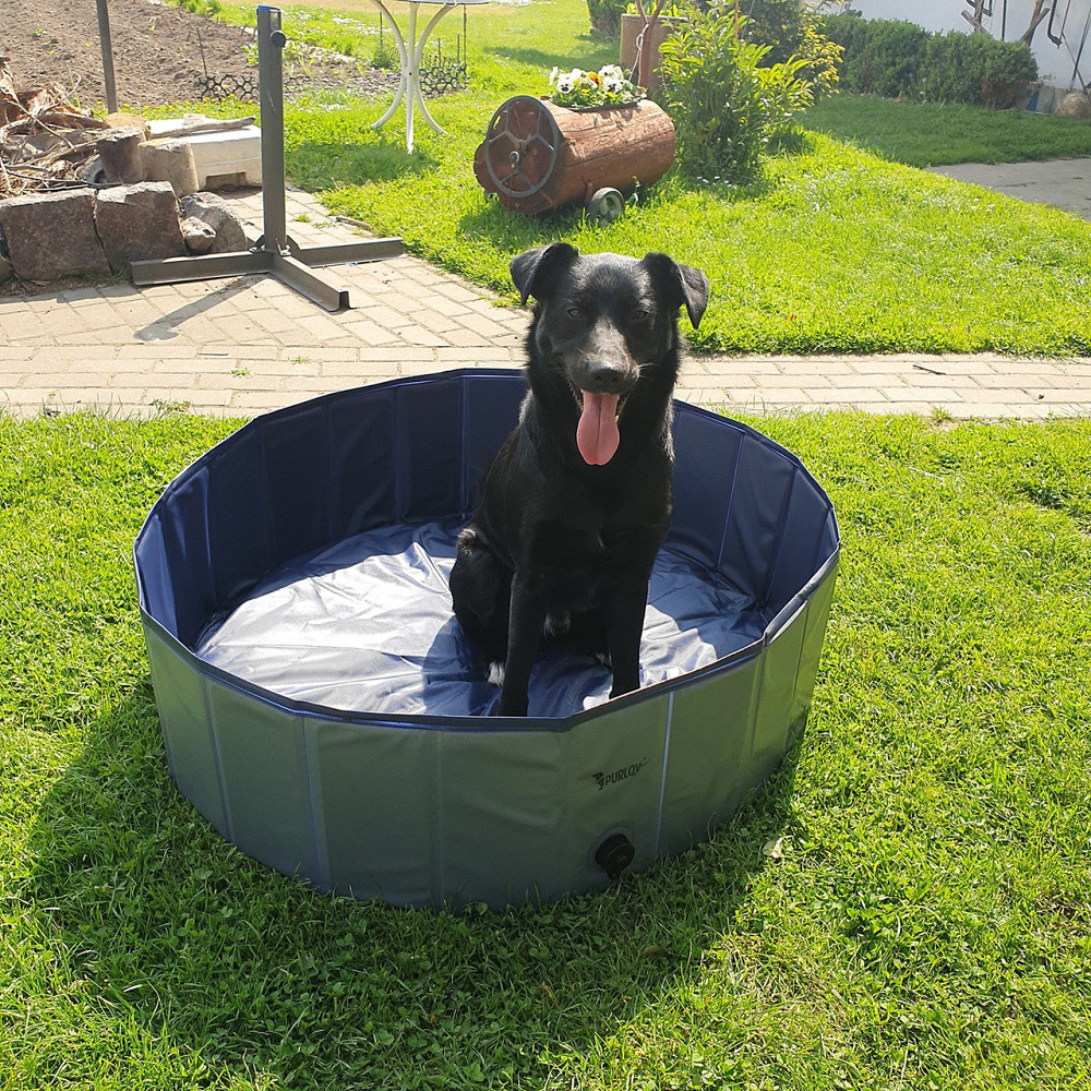 Складной Бассейн 100х30 см для собак и других животных Purlov (20929) Нововолынск - изображение 9