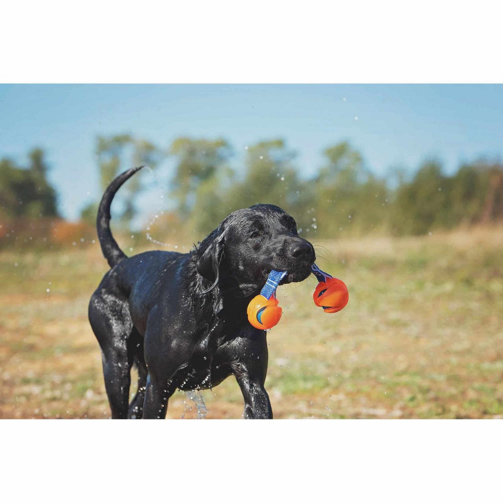 М'ячики з ременем Chuckit! HydroSqueeze Duo Tug іграшка для великих собак, розмір L Вінниця - фото 4