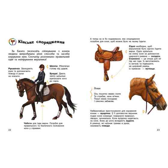 Енциклопедія дошкільника Коні 614037 для найменших Вінниця