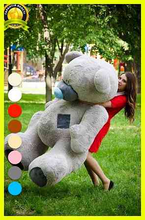 Мягкая игрушка Подарок плюшевый мишка, Плюшевый медведь Потап 250 см Серый Тернополь