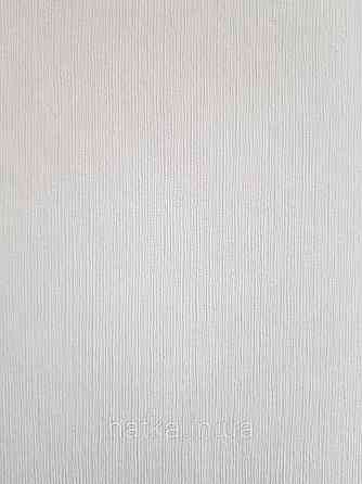 Шпалери метрові вінілові на флізеліні Sintra Structure тонка смужка матові світло-сірі 521328 Київ