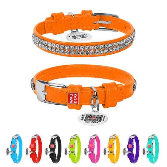 Нашийник для собак шкіряний WAUDOG Glamour з QR паспортом, з прикрасою "Полотно стрази", XXS, Ш Коломыя