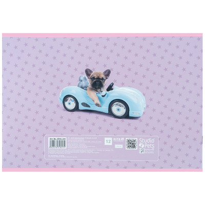 Альбом для рисования Kite Studio Pets, 12 листов (SP25-241) Винница - изображение 8