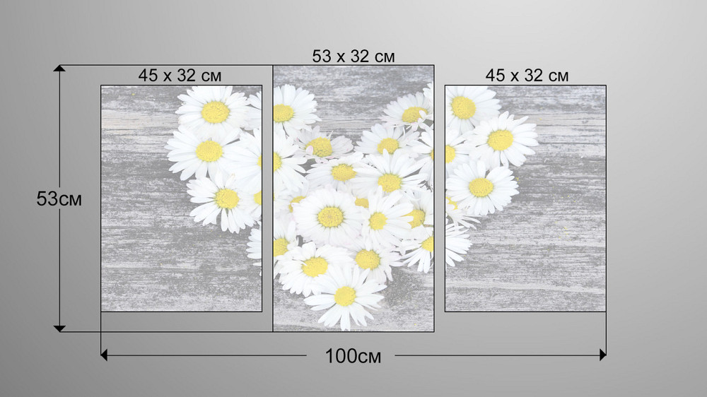 Модульная картина Ромашки Сердце Art-72_3 Киев - изображение 3