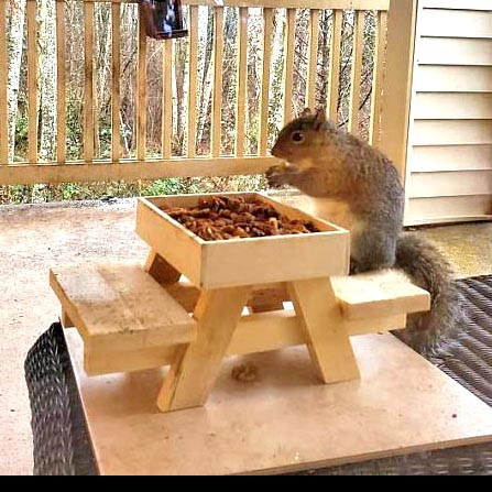 Кормушка для белок 