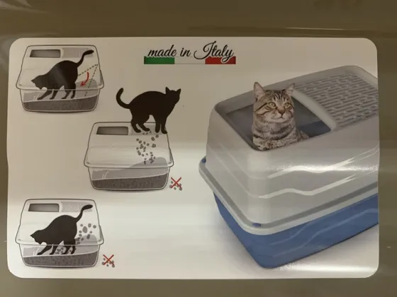 Туалет Georplast Salto закритий для котів з верхнім входом 56x40x38 см Київ