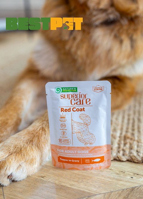 Nature's Protection Superior Care Red Coat Adult Tuna Додатковий вологий корм для собак з рудим забарвленням з тунцем, 70 г Киев - изображение 4