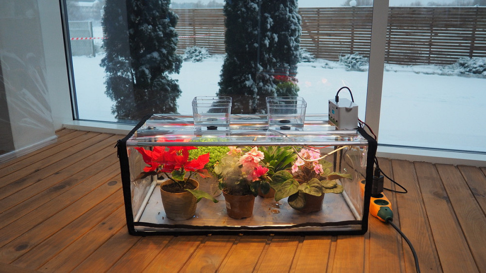 Пророщувач побутовий для насіння, мікрозелені та розсади GreenCap L Metaplant з фітосвітлом та зволо Бориспіль - фото 8