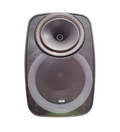 Професійна Bluetooth колонка NDR-A55 15-дюймова з бездротовим мікрофоном Київ