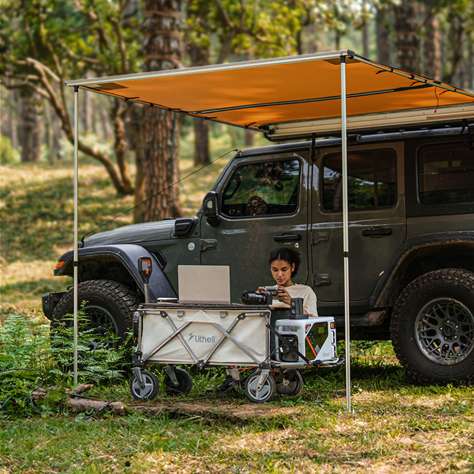 Акумуляторний візок Litheli з двигуном від павербанку (УМБ Litheli Power Bank 20000 mAh, 45 W в комплекті) Рівне - фото 5