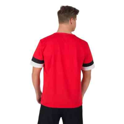 Футболка Puma teamRISE Jersey 704932-01 червоний XXL (4063699212129) Винница