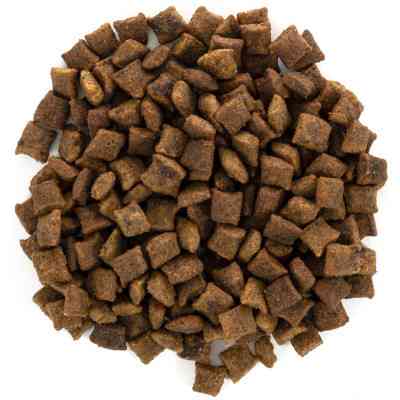 Сухий корм для кішок Brit Care Cat GF Sterilized Urinary Health 7 кг (8595602540723) Вінниця