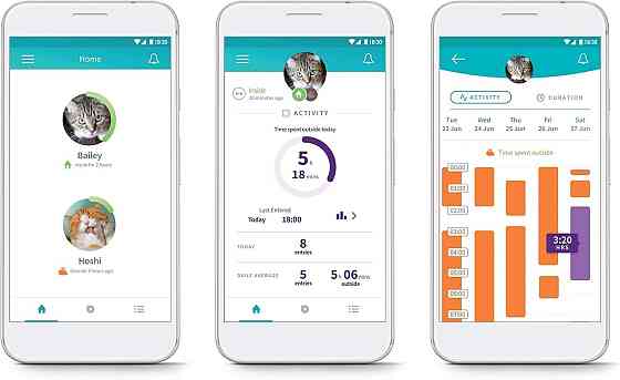 SureFlap смарт мікрочипні розумні дверцята для котів з WiFi RFID-мітки мобільне керування вуличні мі Київ