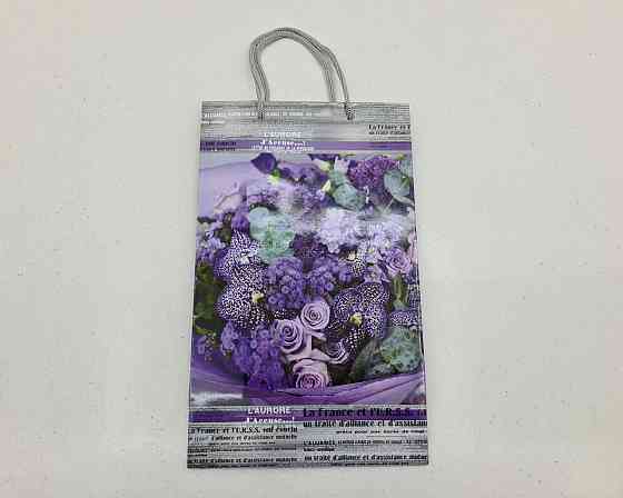 Бумажный пакет подарочный Средний 17/26/8(артSV-209) (12 шт) Харьков